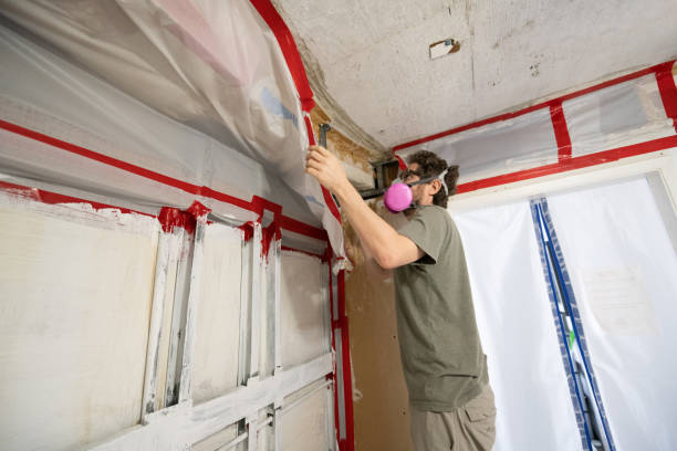 Best Black Mold Removal  in Moapa Valley, NV