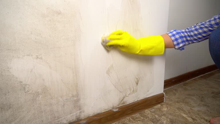 Moapa Valley, NV Mold Inspection, Removal & Remediation Company